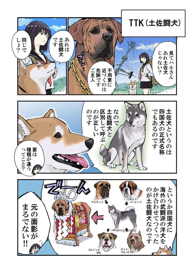 Japanese twitter artist named @K5dbZRmjNe77i5r featured Tosa Inu’s in one of their original content comics Sekai no Owari no Shiba Inu.