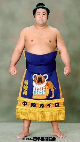 Professional Sumo Wrestler Tochiōzan Yūichirō sports a Keshō-Mawashi [廻し, The thick-waisted loincloth worn for sumo training and competition.] featuring a Tosa Inu dressed up as a Yokozuna.