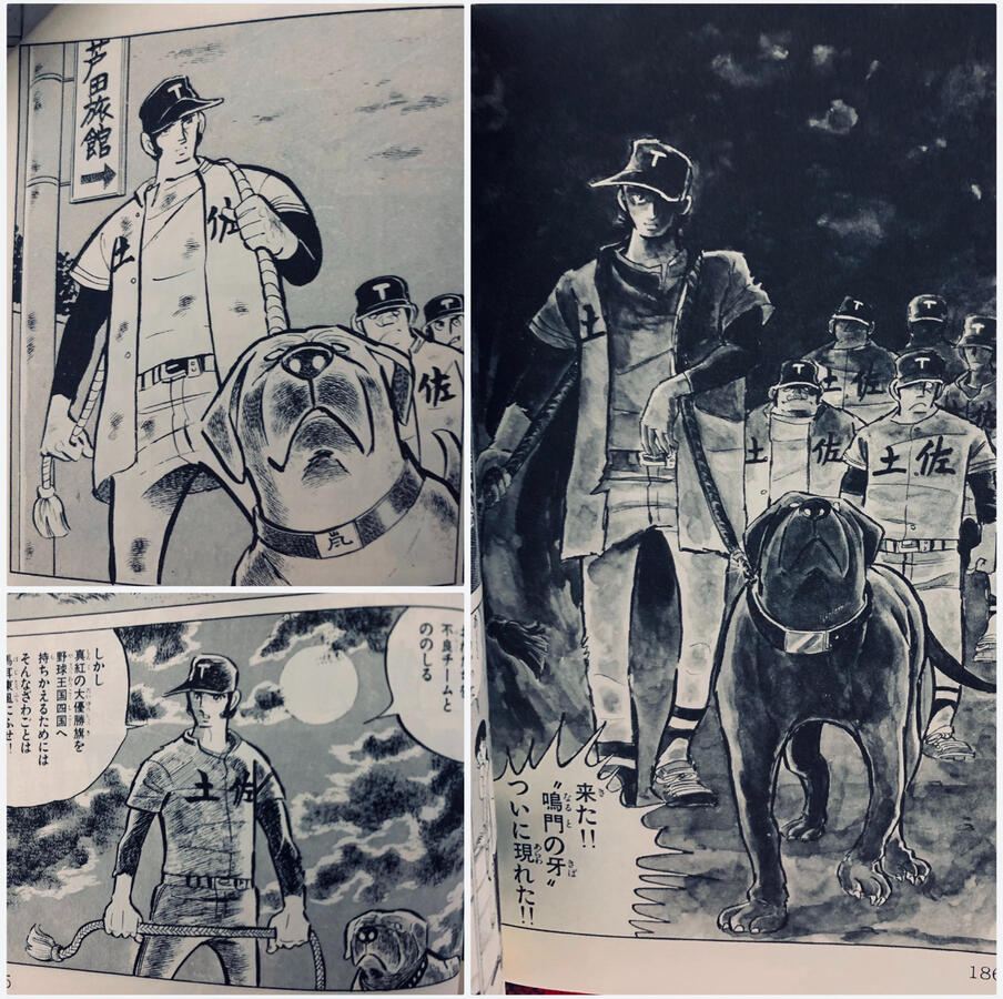 Baseball manga Dokaben featuring Arashi the pet Tosa, illustrated by Shinji Mizushima.