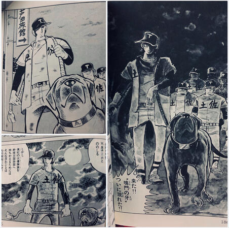 Baseball manga Dokaben featuring Arashi the pet Tosa, illustrated by Shinji Mizushima.