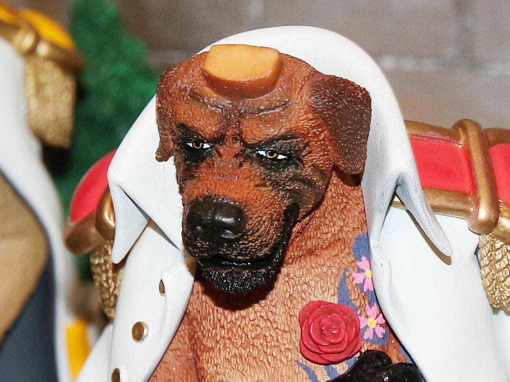 “I present Zoro as Tosa” Artist special release from Zero, limited animal One Piece character.