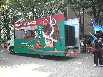 Various Tosa Inu on Trucks assumedly for Tournament exposure.