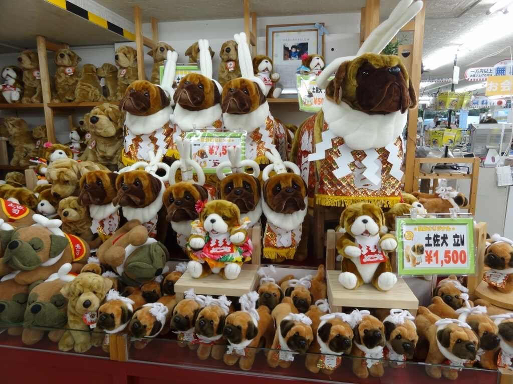 Tosa Inu Museum (とさいぬパーク) which featured everything Tosa Inu including a huge Dohyō-iri (土俵入り, ring entering ceremony) where they would bring in an adult Tosa with a Yokozuna Mawashi on. The building permanently closed on May 19 2017.