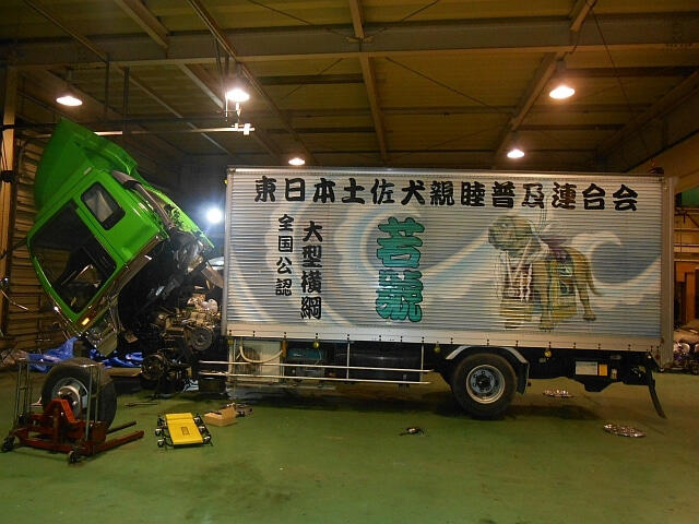 Various Tosa Inu on Trucks assumedly for Tournament exposure.