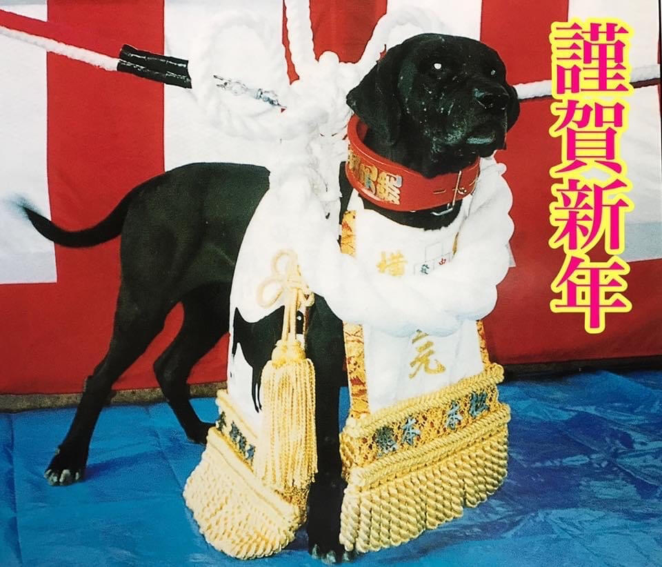Kosangen-Go